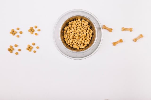 dog food